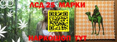 альфа пвп Кингисепп